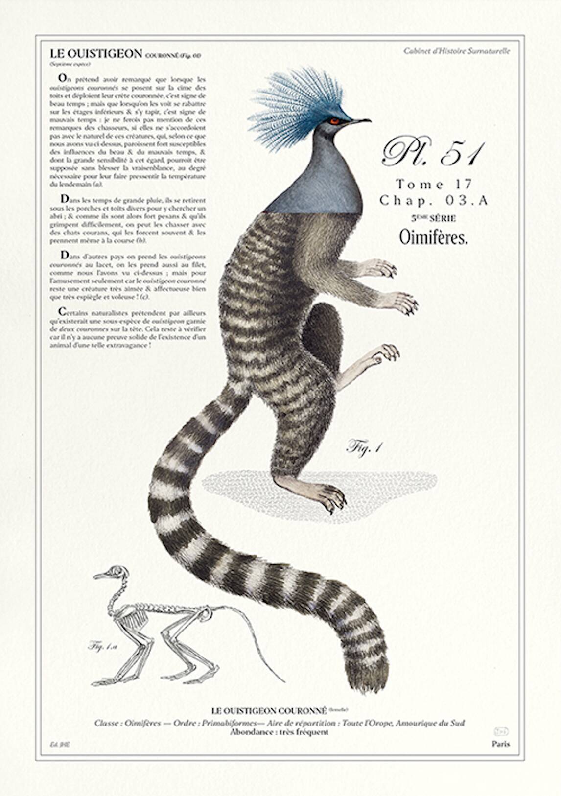 Chimera lithograph engraving animal - the marmoset