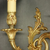 Pair of Rocaille/Rococo style sconces