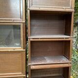 Modular library M.D vintage 1960