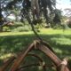 Fauteuil suspendu rotin /bambou 1970 vintage