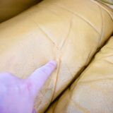 DS-600 sofa by Berger, Peduzzi, Vogt & Ulrich for De Sede, 1970s