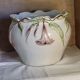 Vintage plant pot