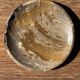 Ashtray, circular dish or plate in grey-orange petrified wood D25.5