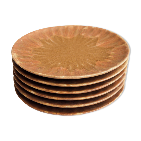 Lot de 6 assiettes à dessert en grès