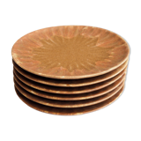 Set of 6 stoneware dessert plates