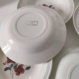 7 Salins Odile soup plates – raspberry flowers & blue border