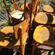 10 chairs bistro period 40/50 Joseph