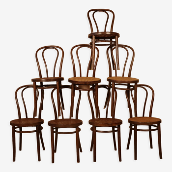 Eight Thonet bistro chairs