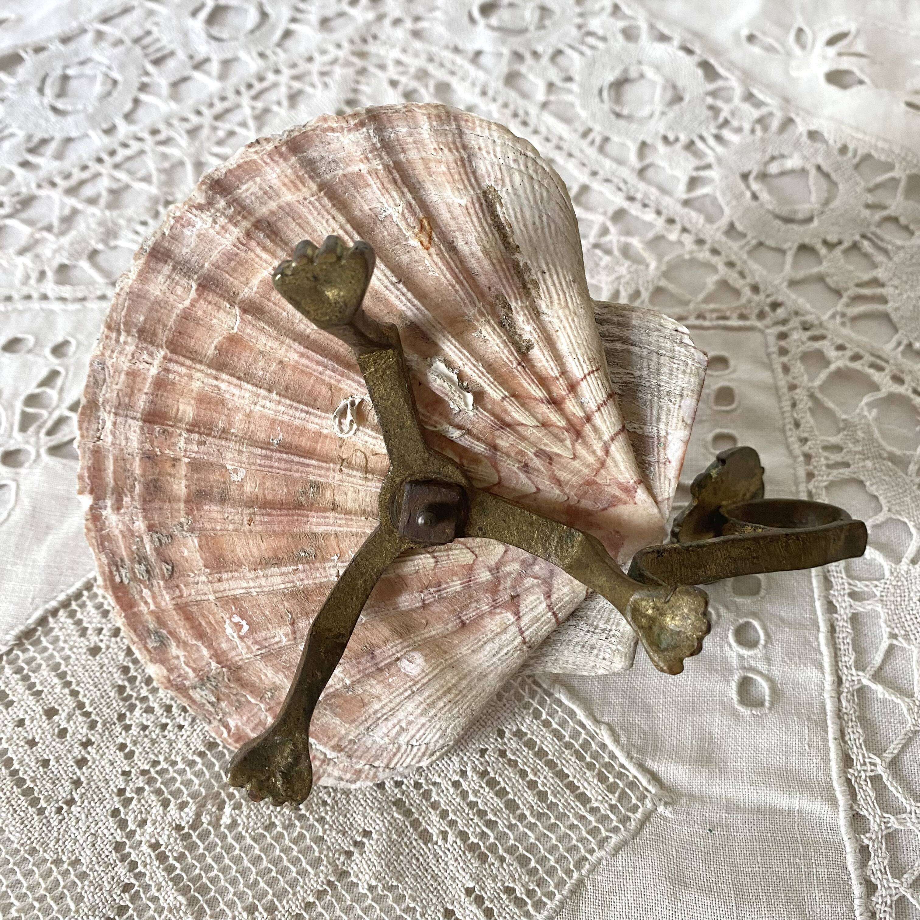 Scallop shell and lion paws candle holder