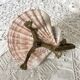 Scallop shell and lion paws candle holder