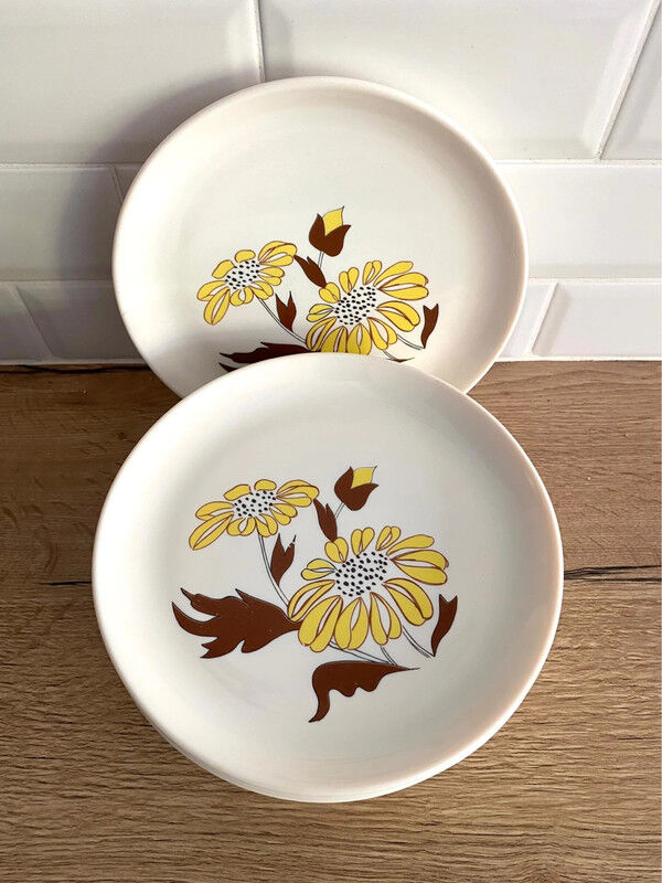 9 Sovirel opaline dessert plates
