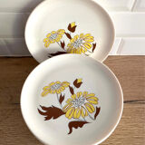 9 Sovirel opaline dessert plates