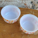 Series of 4 Scania and Veronica ramekins from Arcopal 70s/80s