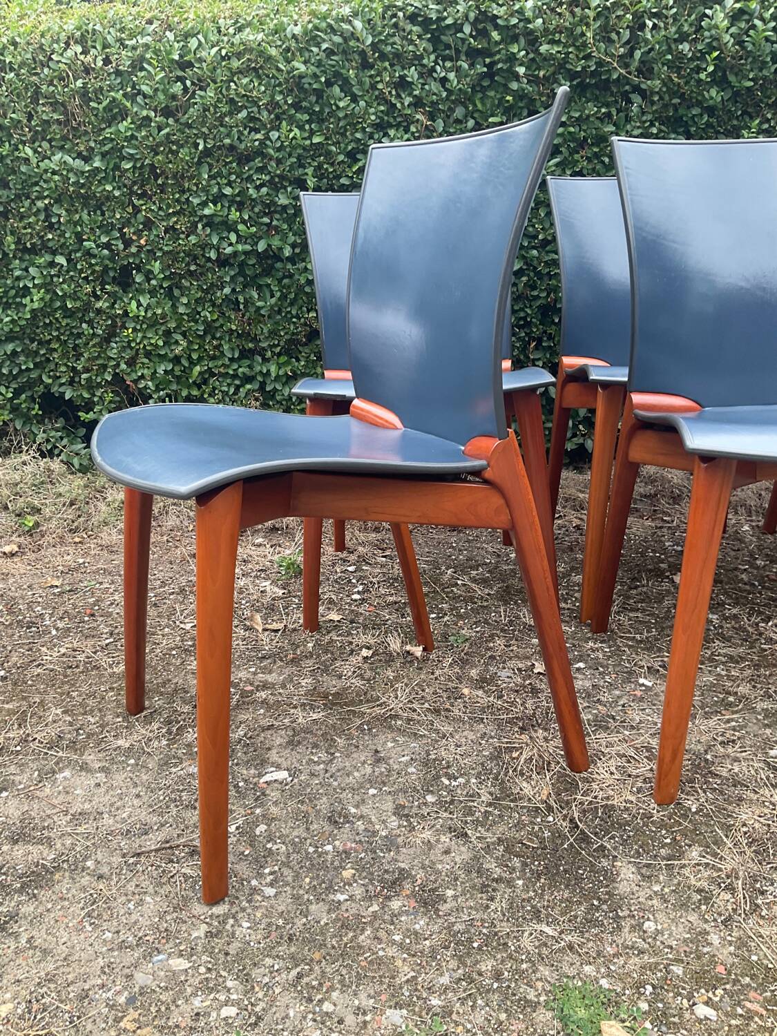 Série de 6 chaises Cassina par Josep Llusca