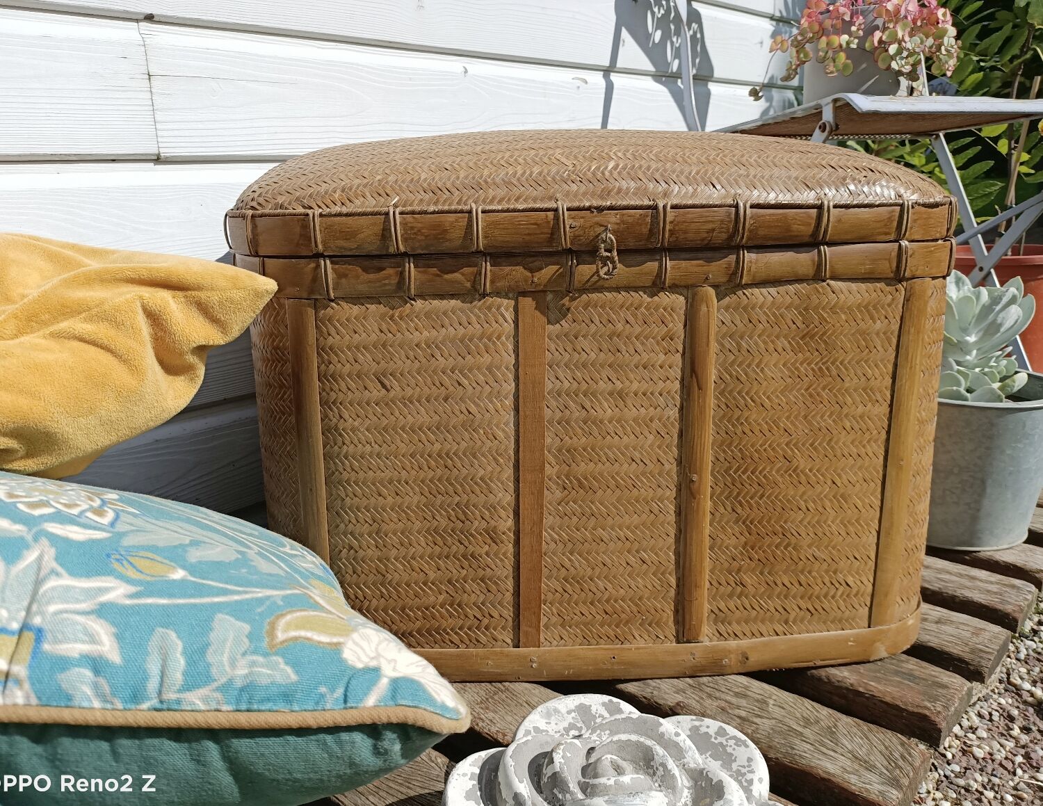 Old trunk rice straw