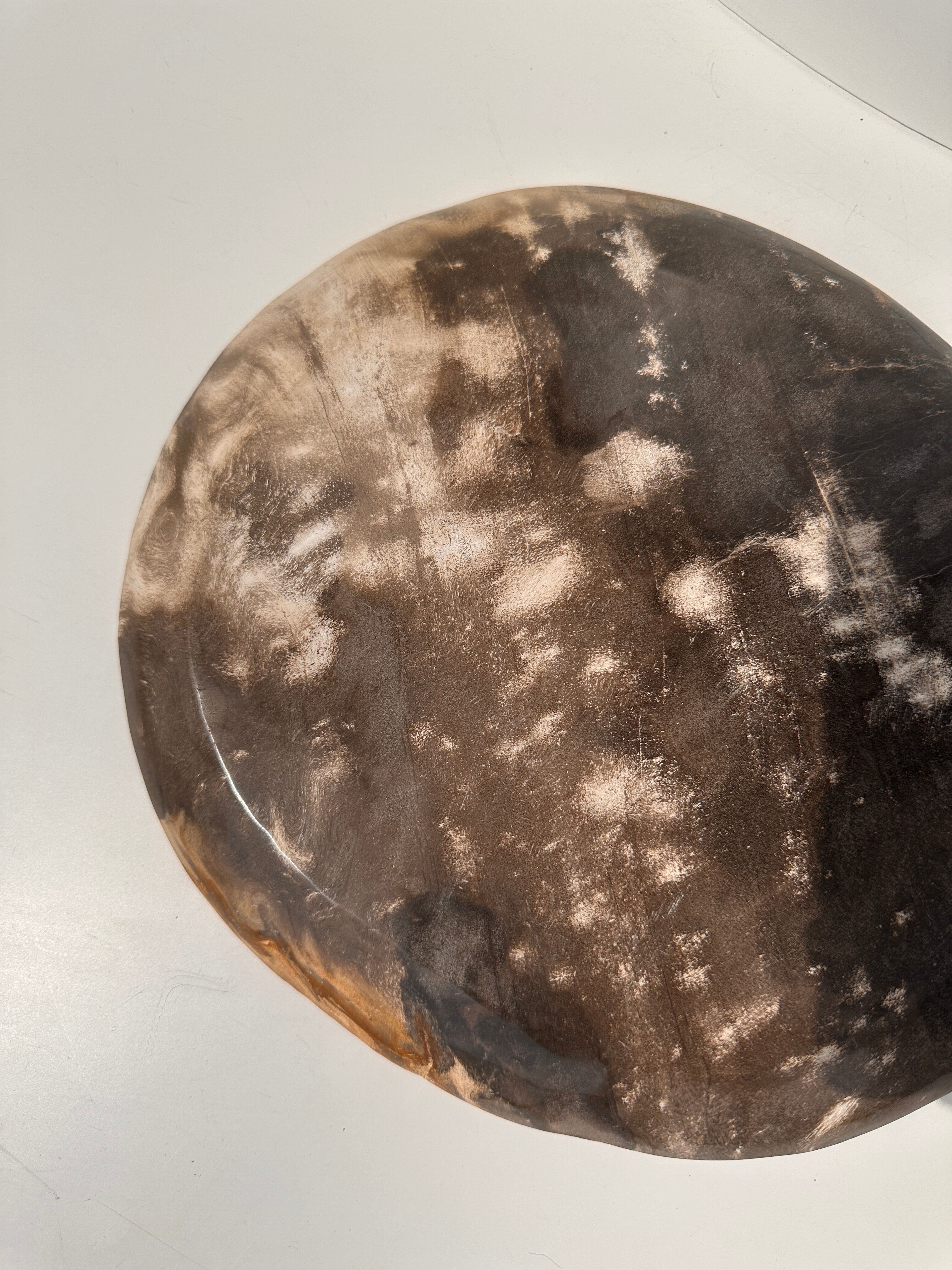 Dish in petrified wood