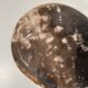 Dish in petrified wood