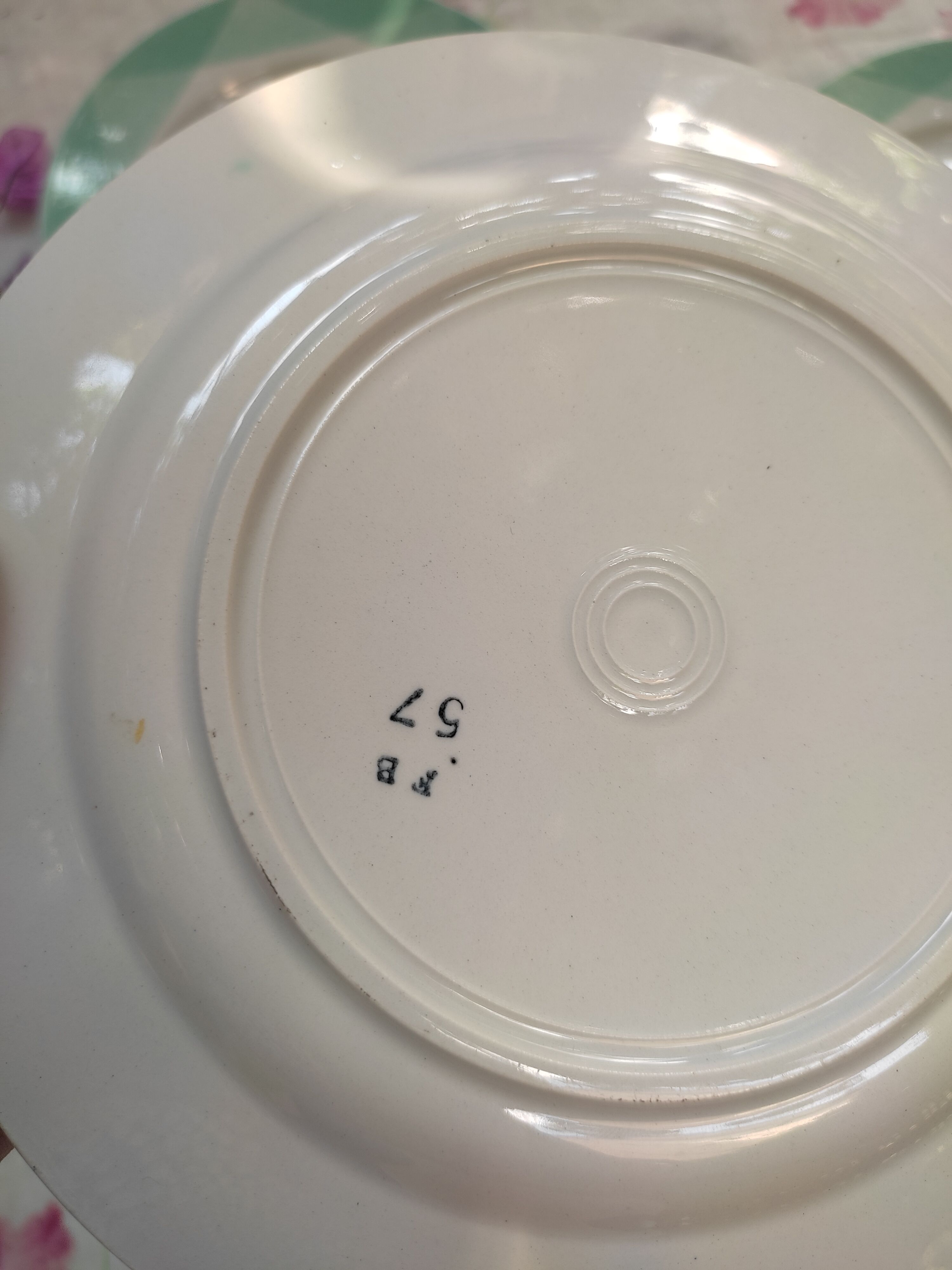 5 retro plates in Badonviller earthenware