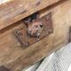 Old wooden box chest