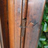 Pair of cabinet doors