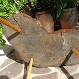 Elm tree trunk coffee table