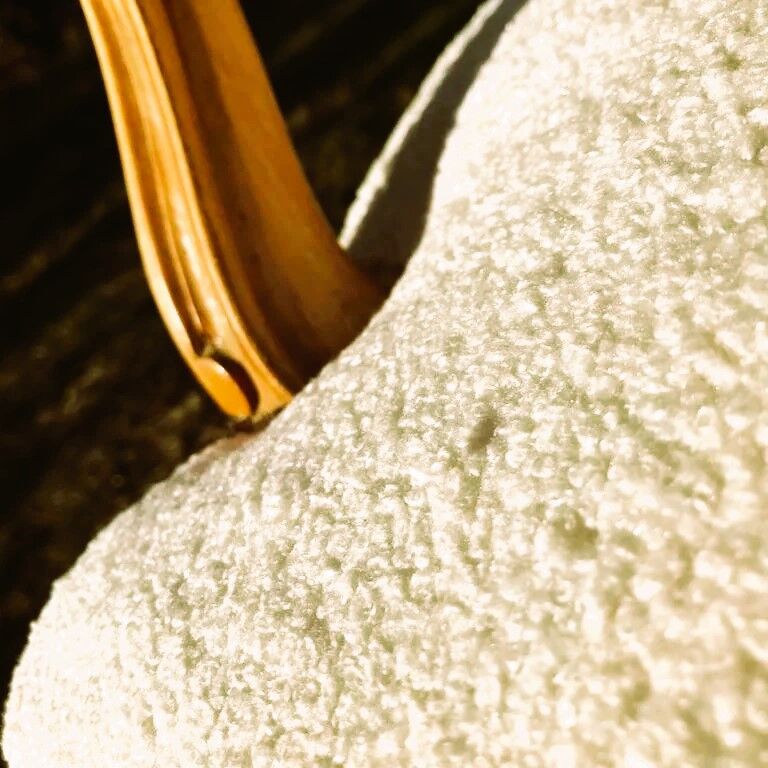 Cabriolet louis XV plush fabric