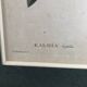 Poster board botanical illustration framed 19th flower Kalmia