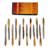 Coffret ancien avec 12 couteaux en acier inoxydable et manches en bois de cerf des années 70