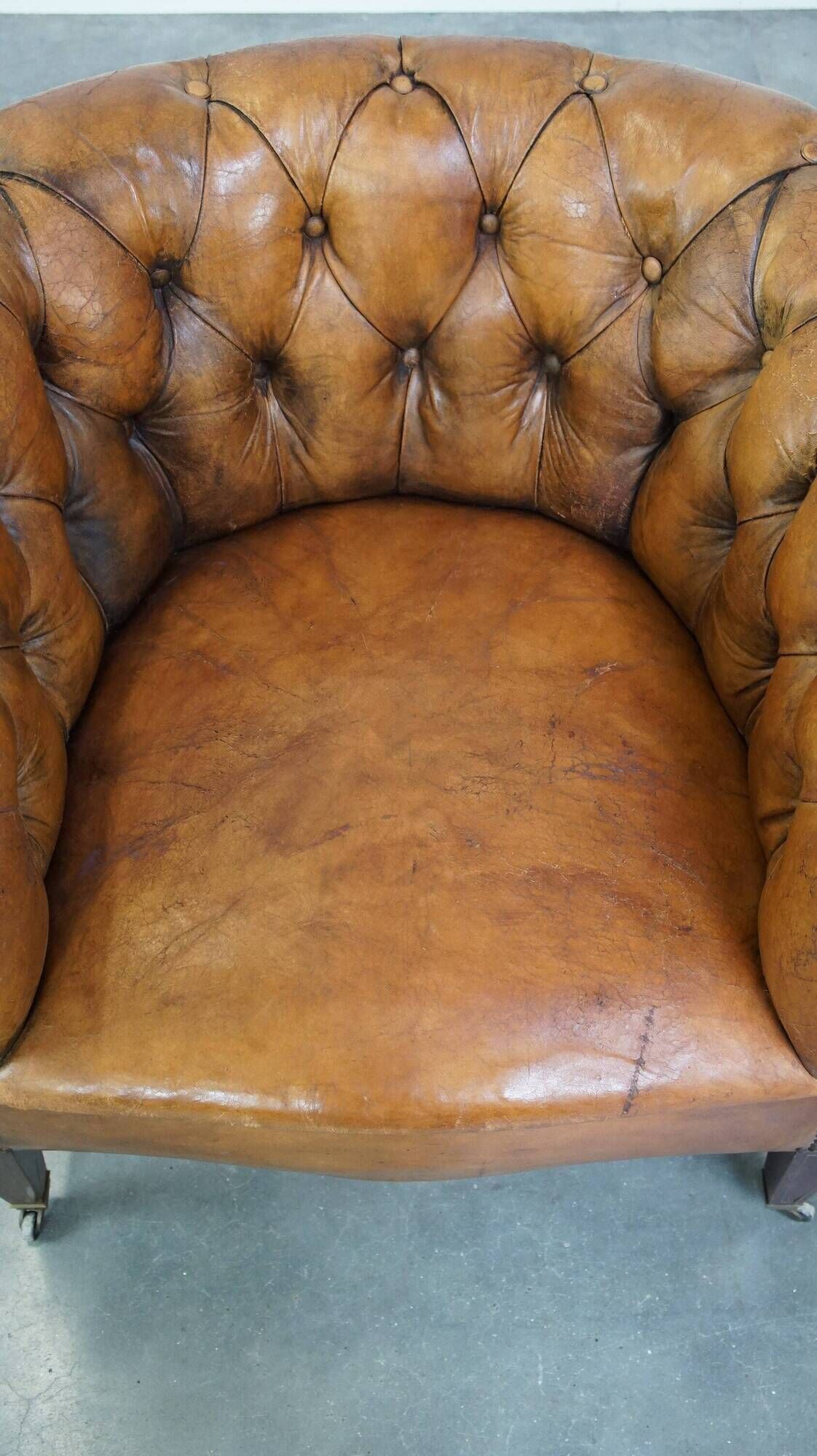 Antique, characteristic sheepskin chesterfield club chair on wheels