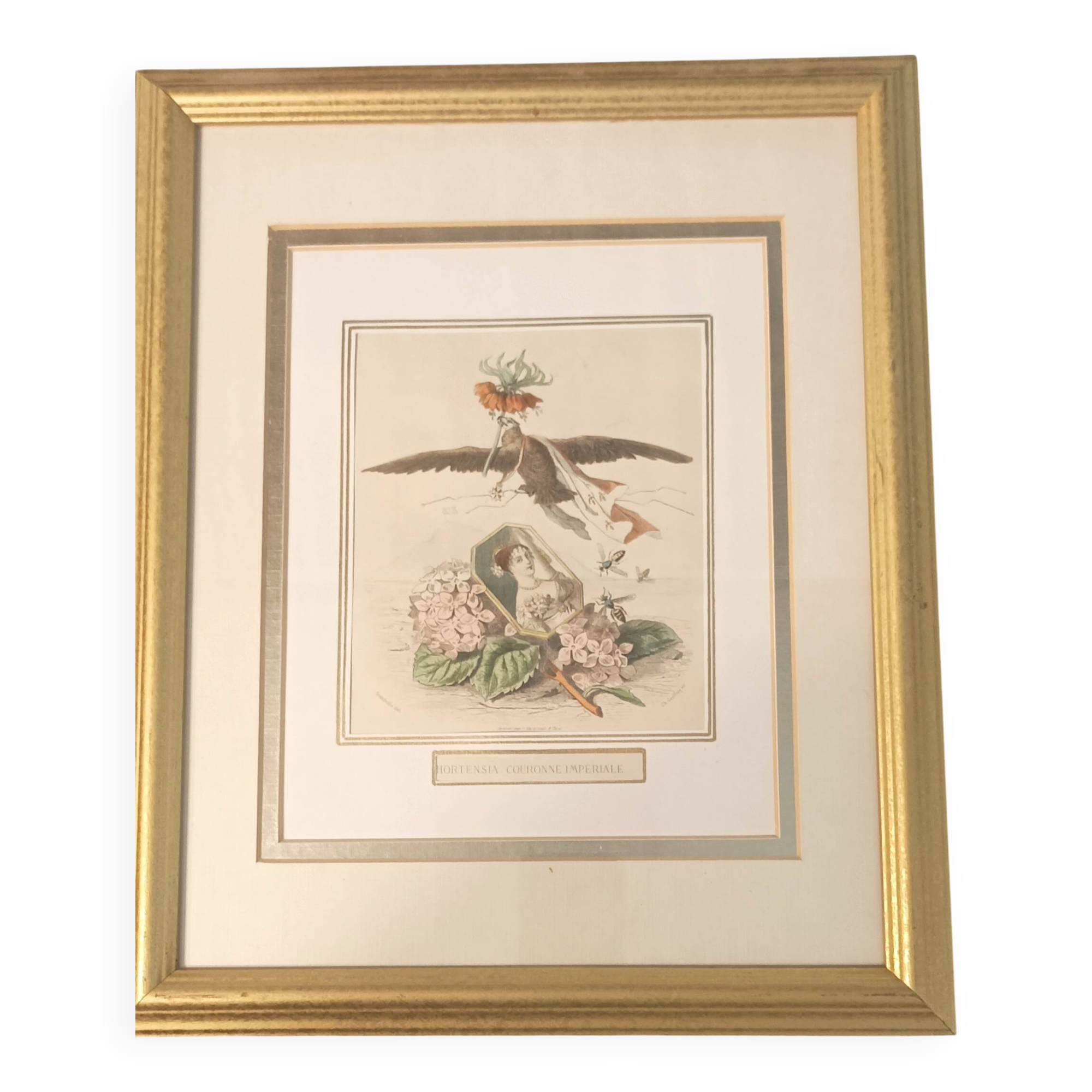 JJ Grandville Animated Flower Frame - Imperial Crown Hydrangea