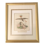 JJ Grandville Animated Flower Frame - Imperial Crown Hydrangea