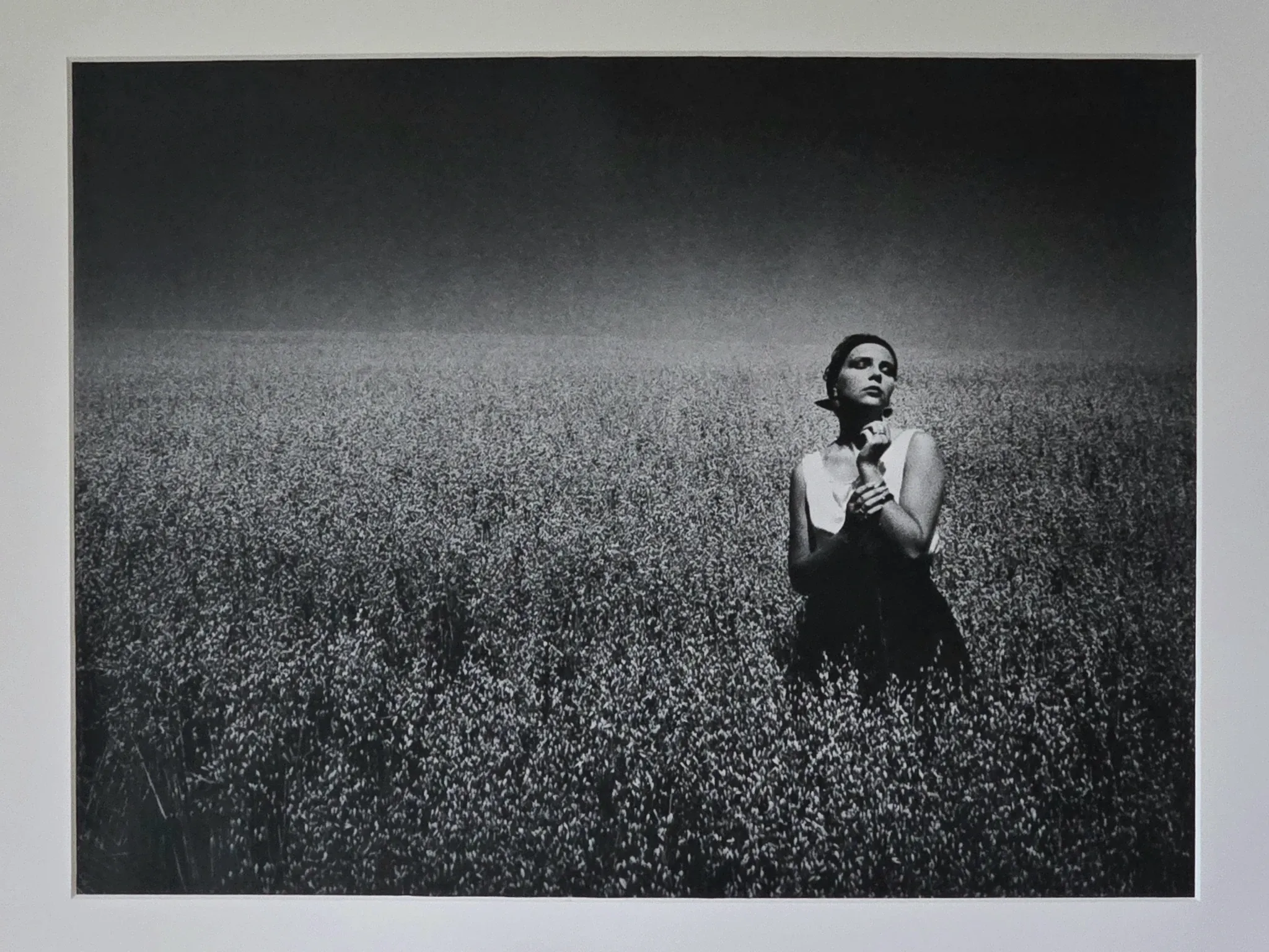 Vintage photograph print 1985 analogue XXL