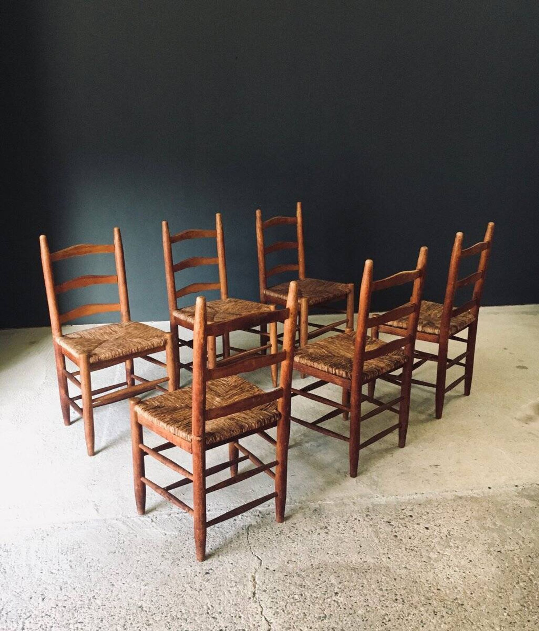 Low rustic ladder back dining chairs in oak and rush, Belgium, 1950s, set of 6.