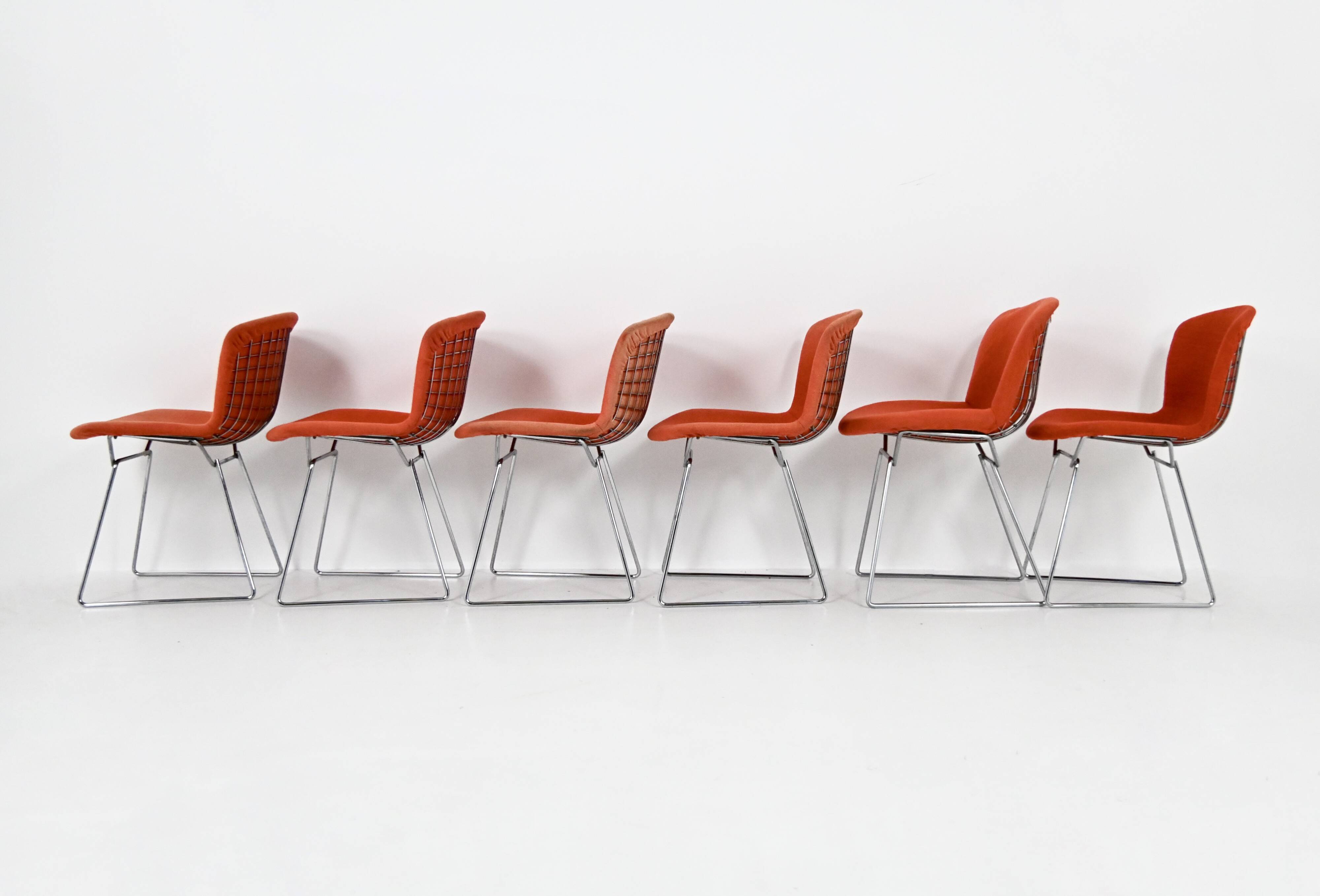Set of 6 chairs by Harry Bertoia for Knoll, 1960s