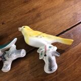 Set of two exotic birds