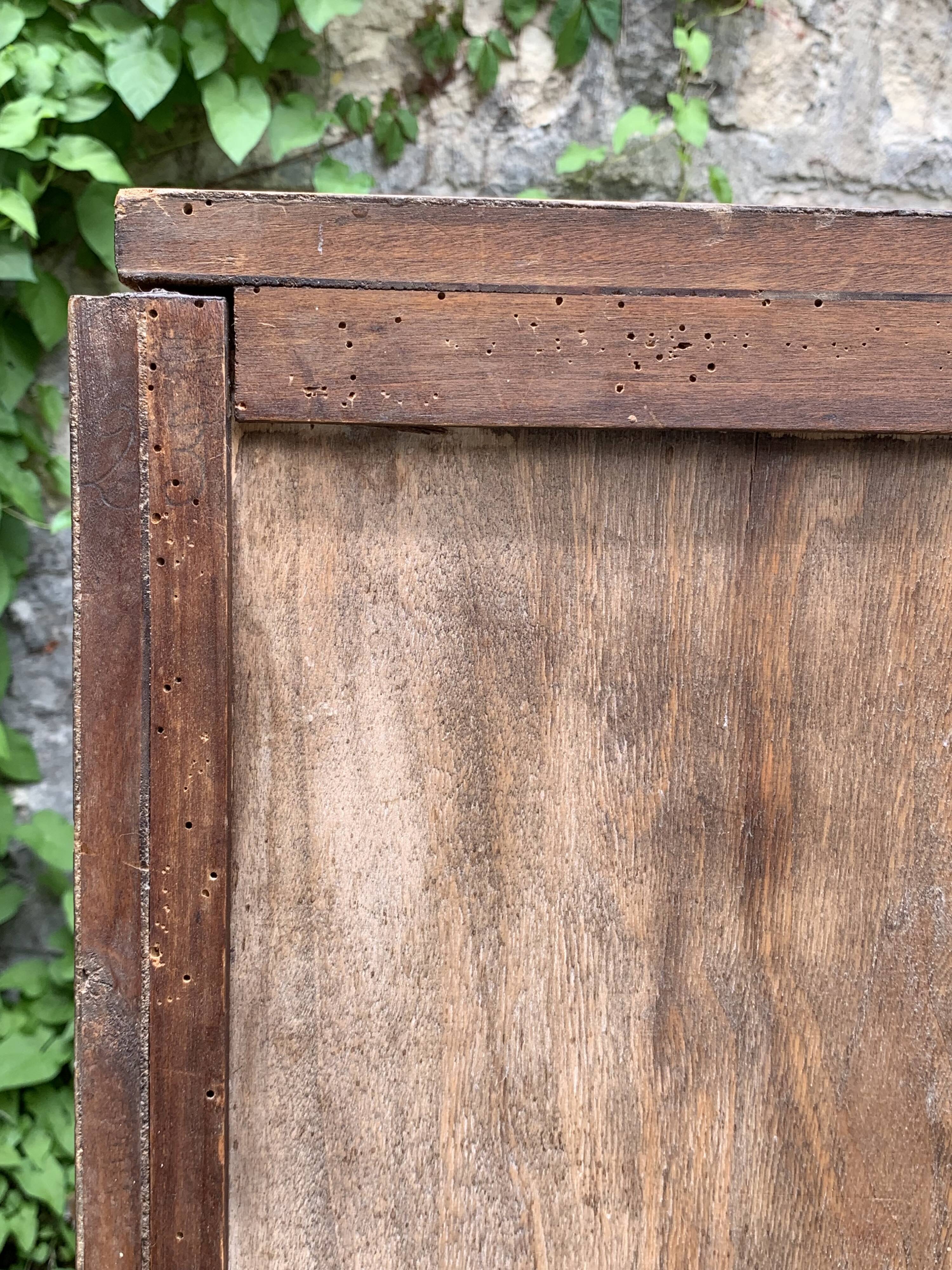 Art Deco chest of drawers in raw walnut burl