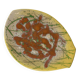 Plat forme libre R.Duchaussoy