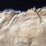 Vintage fox skin no. 1