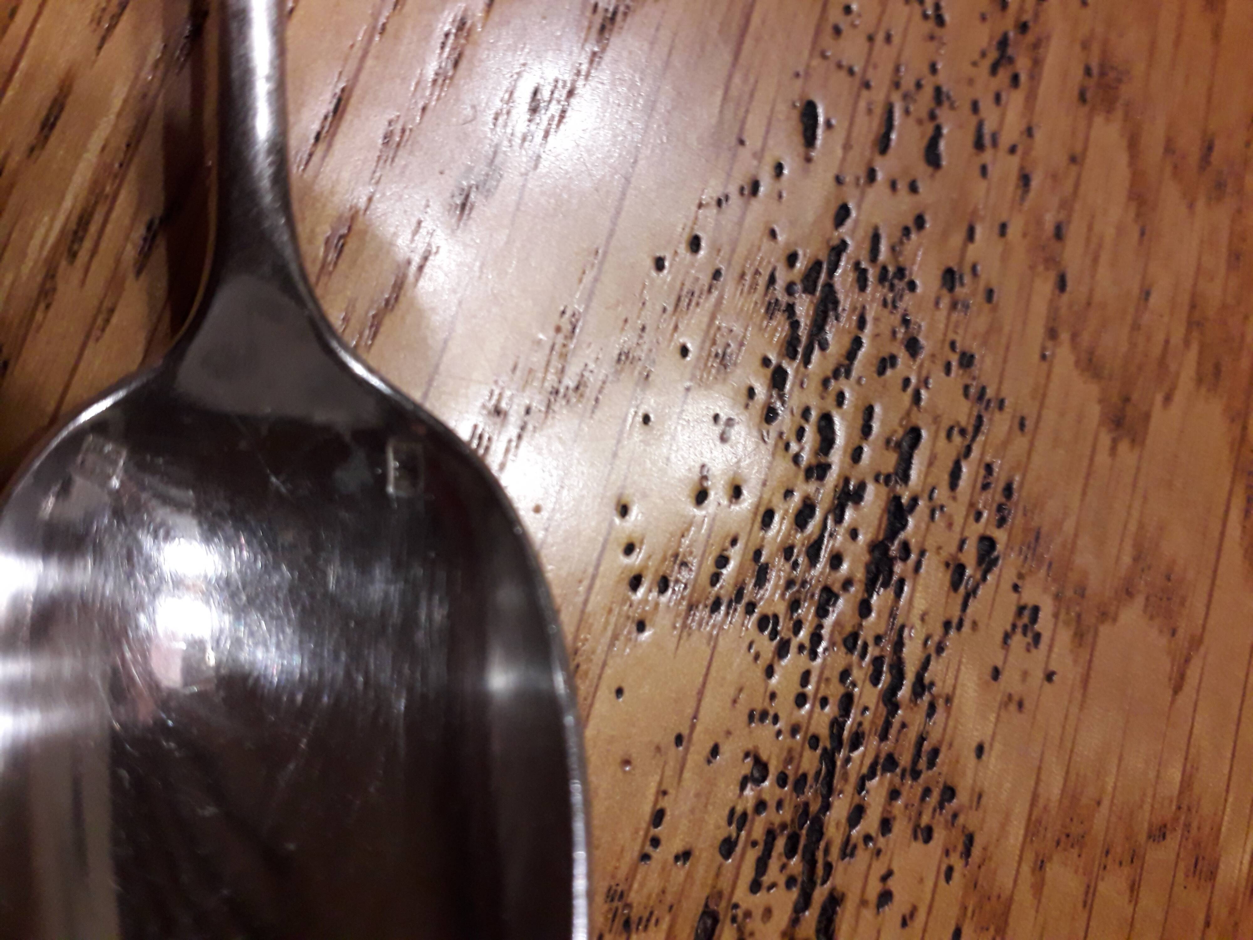 12 teaspoons silver metal