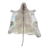 Zebra Skin, Floor Rug / Wall Tapestry, ca 1950