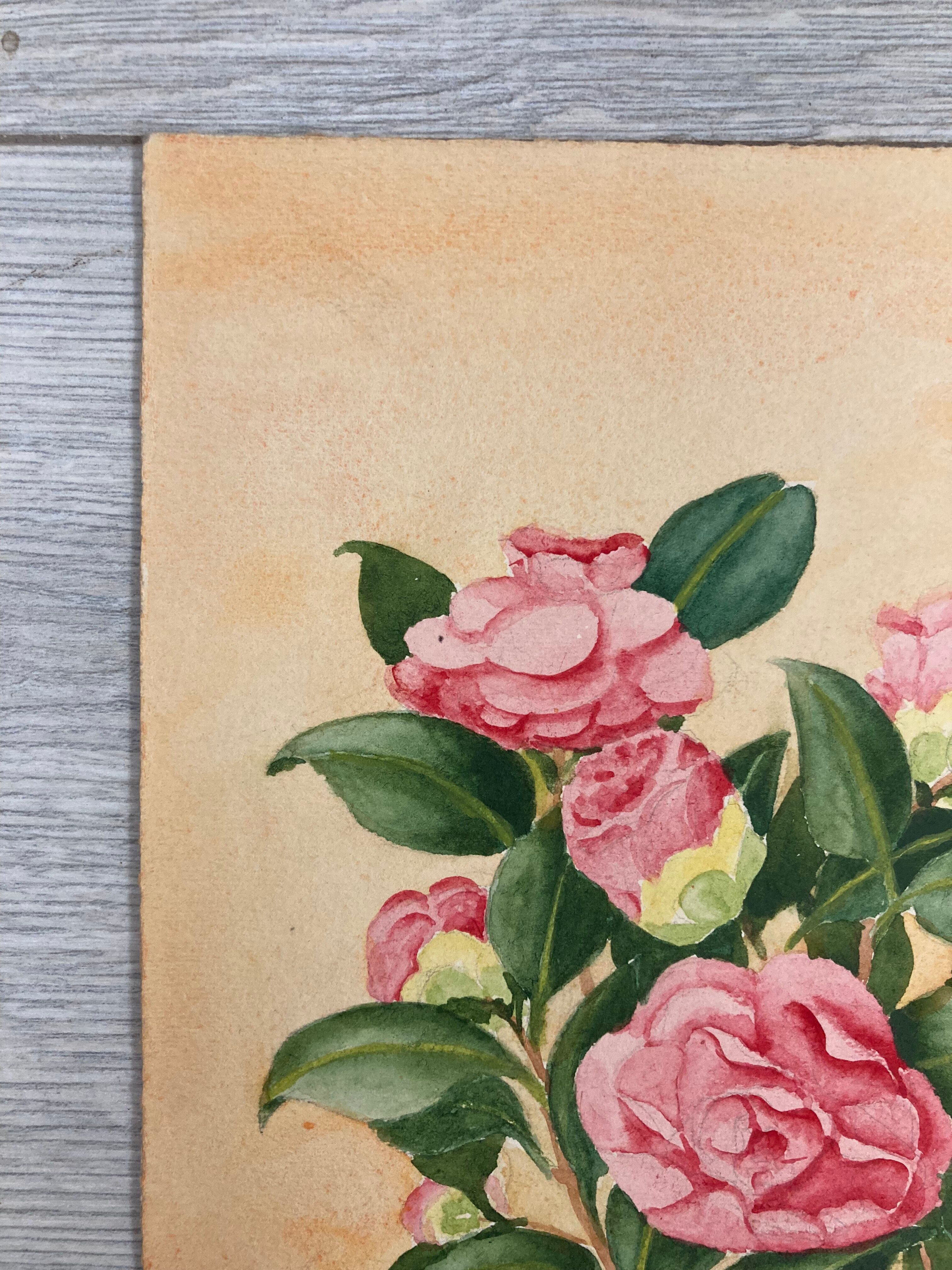 Aquarelle camélias vintage