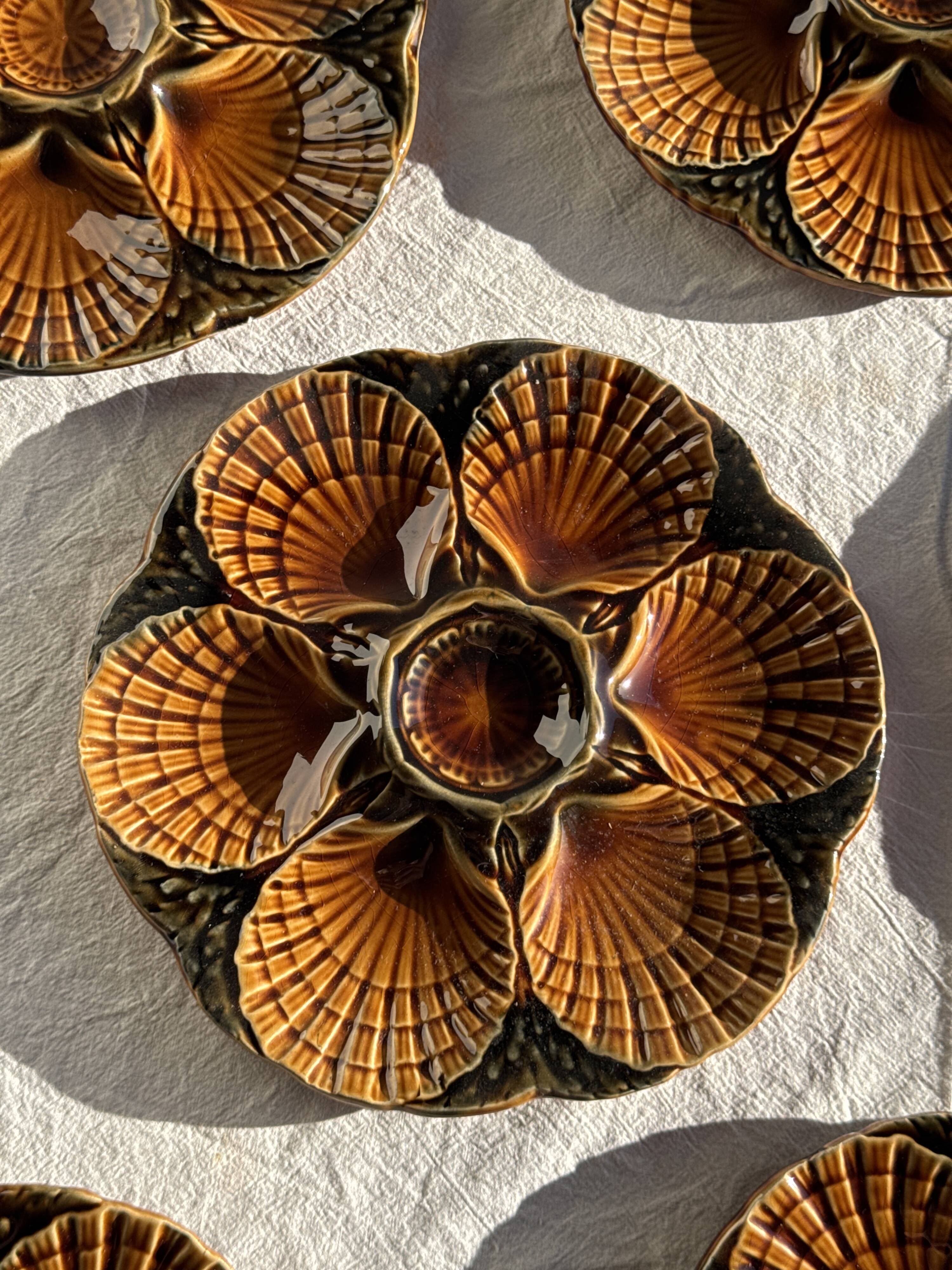 Set of 12 oyster or shell plates in glazed brown ceramic D