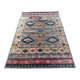 Oriental style rug