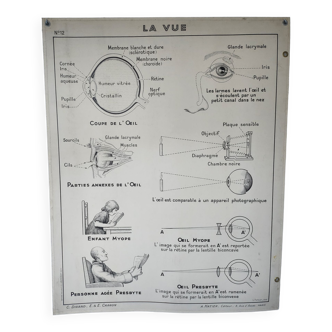 Pedagogical poster a.hatier 12 and 12 bis