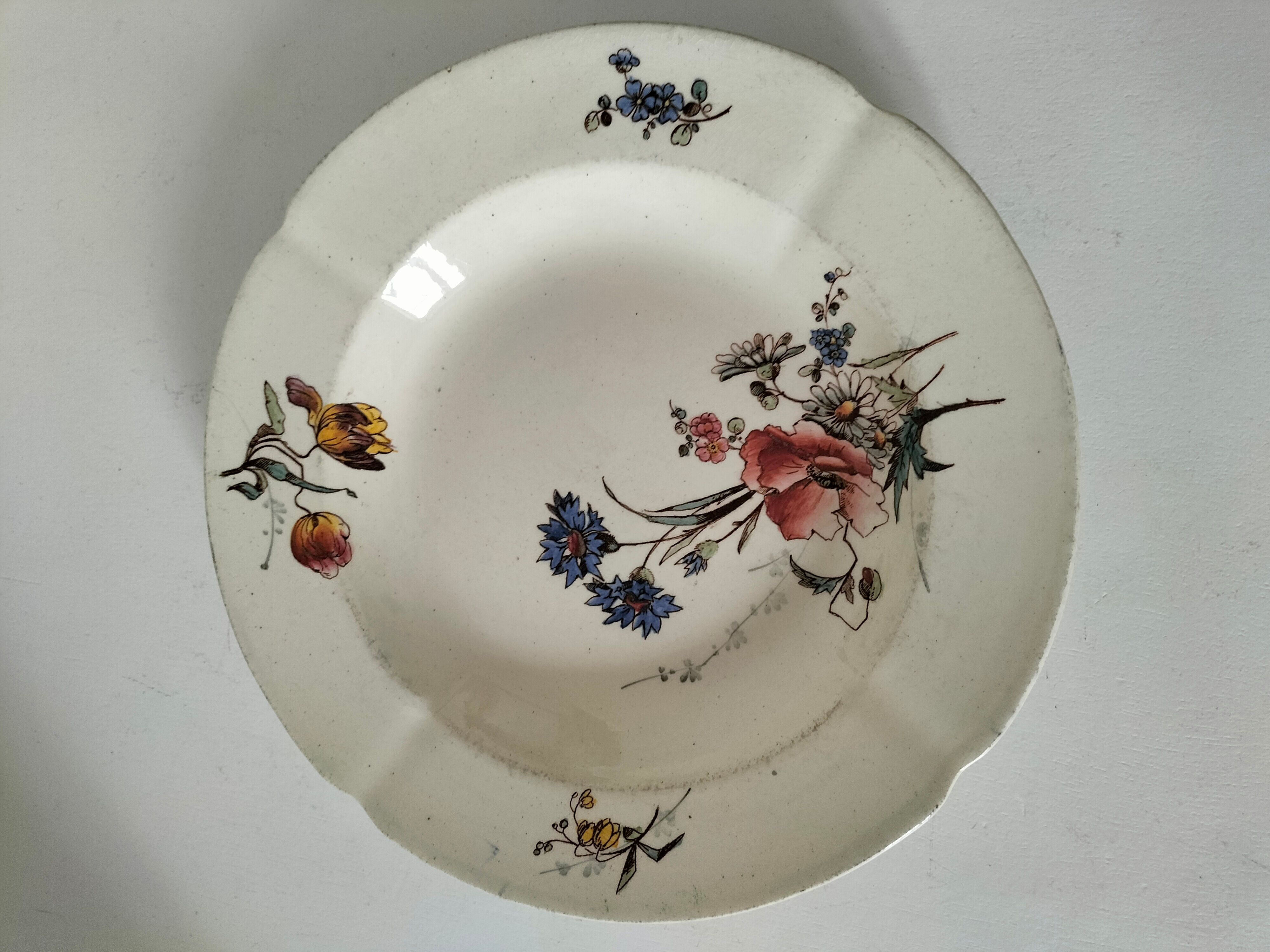 Assiette creuse Terre de Fer HB & Cie décor fleurs des champs 1900-1910