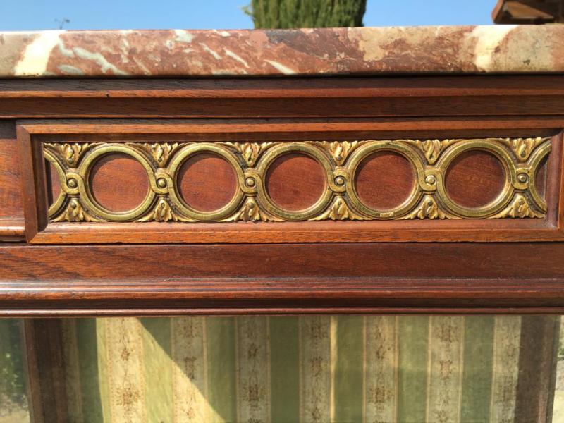 Mahogany Showcase - Bronze Golden Style Louis XVI