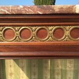 Mahogany Showcase - Bronze Golden Style Louis XVI