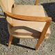 Office armchair from the 50s in beech tinted sycamore and moleskine