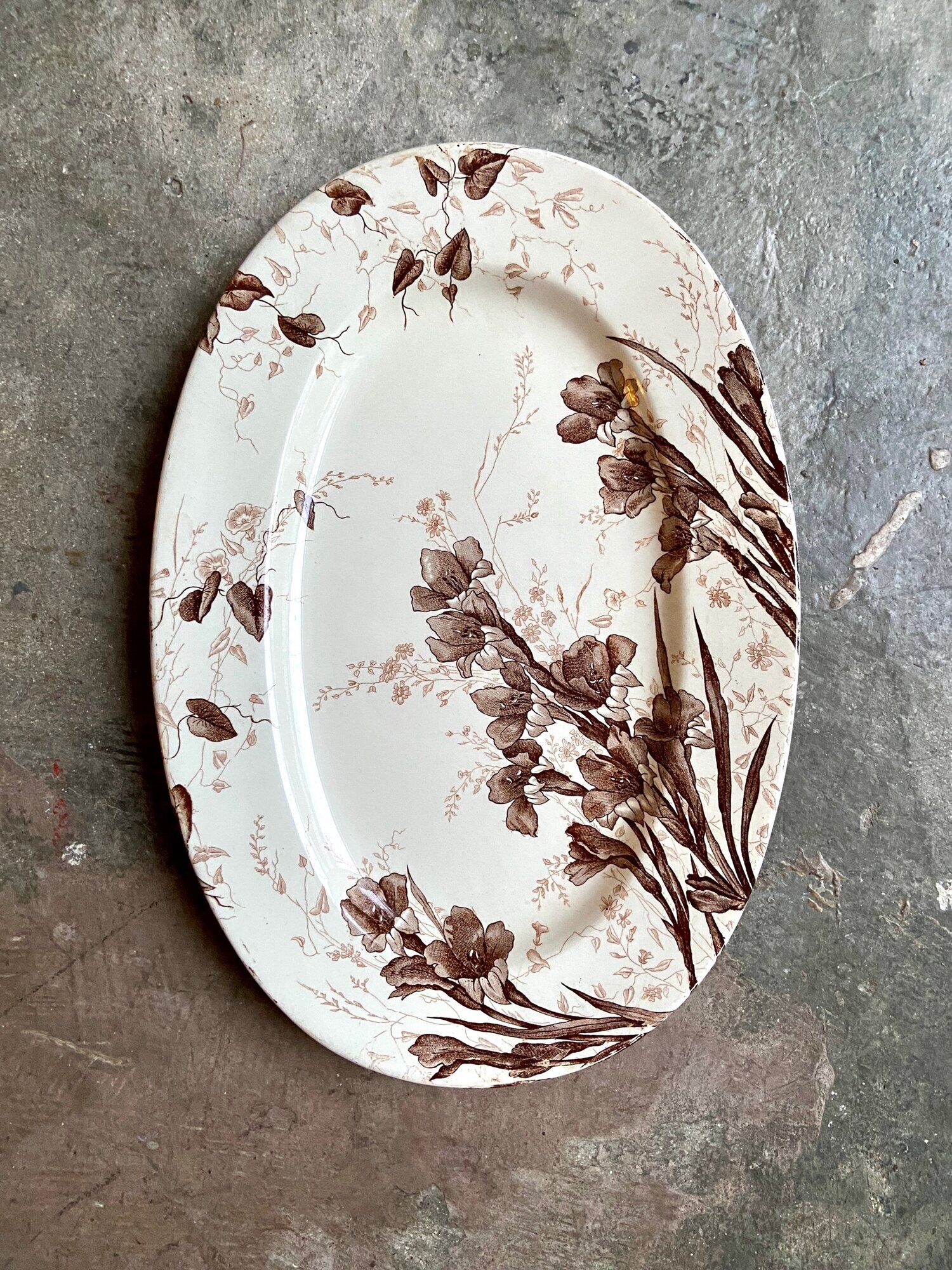 Oval plate in Creil & Montereau iron, "Gladiolus" service