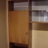 Vintage teak library